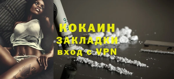 стафф Алексин