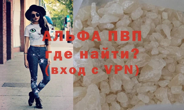 стафф Алексин