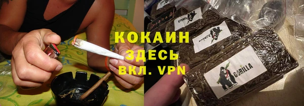стафф Алексин