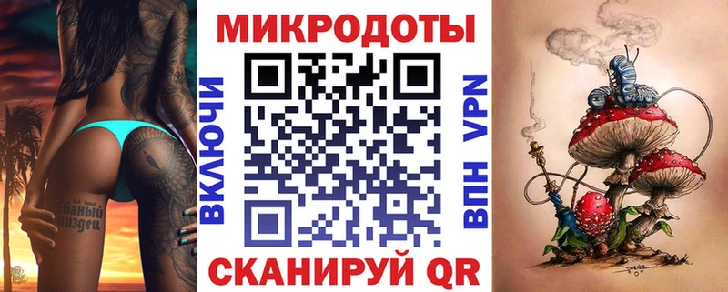 купить   Каневская  Галлюциногенные грибы Psilocybe 
